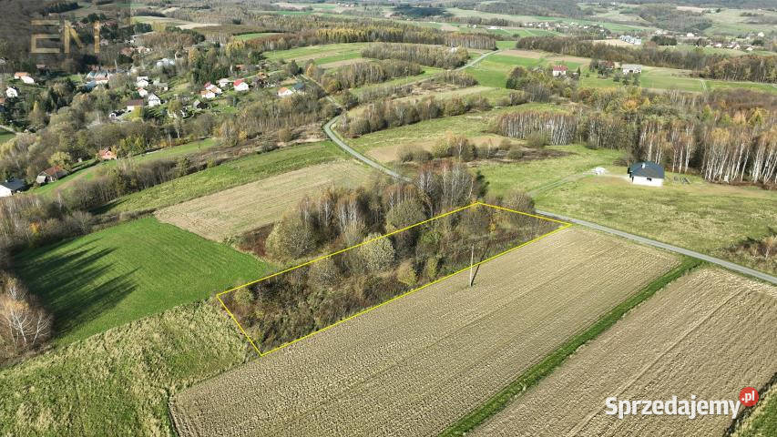 Grunt 3000m2 Niewodna podkarpackie