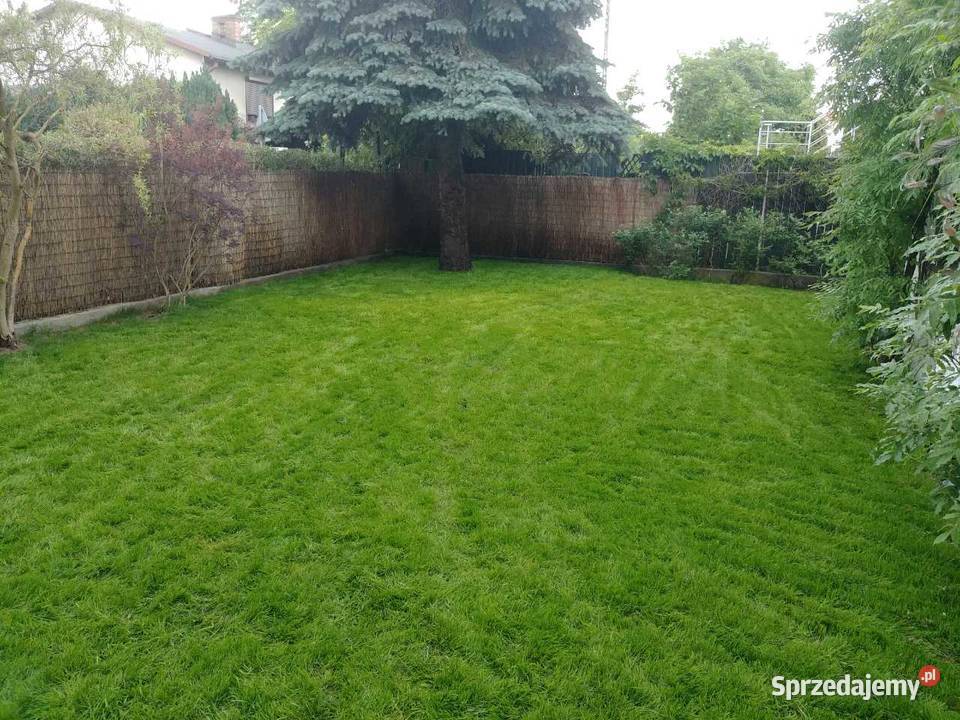 Ziemia ogrodowa czarnoziem Bydgoszcz