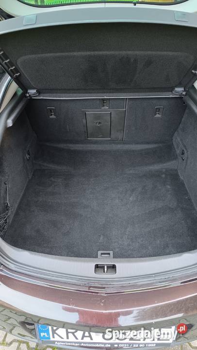 Opel Insignia Hatchback Filipowice