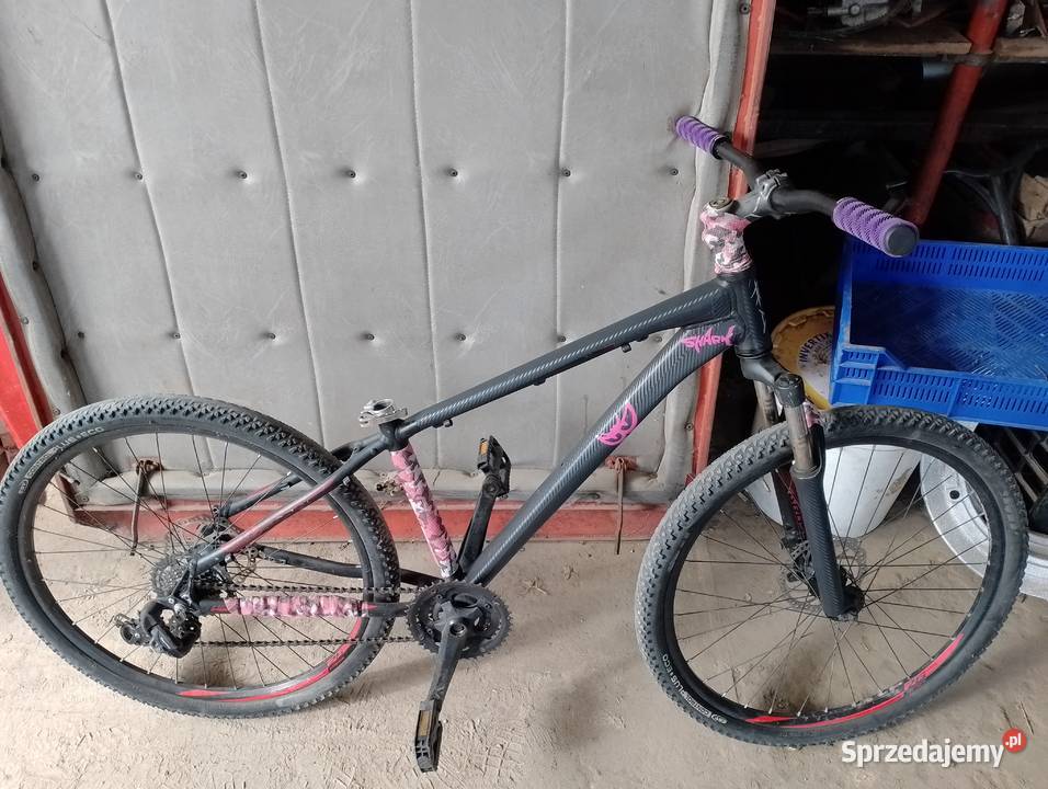 Rower kross hexagon 30 Felicjan
