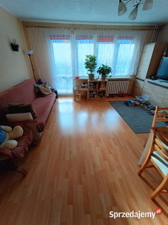 3 pokojowe mieszkanie 5912 m2 Sosnowiec Niwka