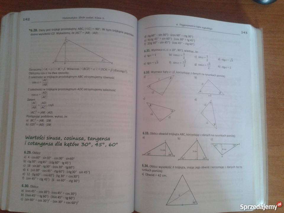 Książka Do Matematyki Klasa 1 Technikum Podręcznik i zbiór zadań do matematyki kl.1 LO / Technikum. Lublin