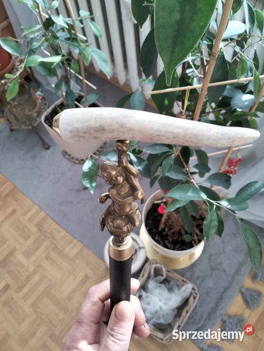 kolekcja starych lasek Ełk sprzedam