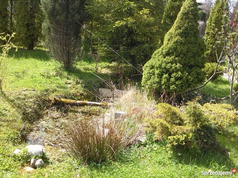 Sprzedam działkę Rod Szczaki mazowieckie sprzedam