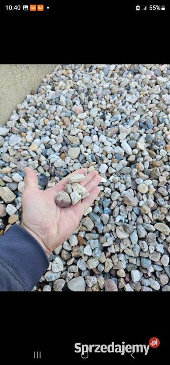 Ziemia czarna brunatna