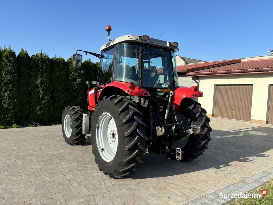 Massey Ferguson 5445 Grabów Szlachecki sprzedam