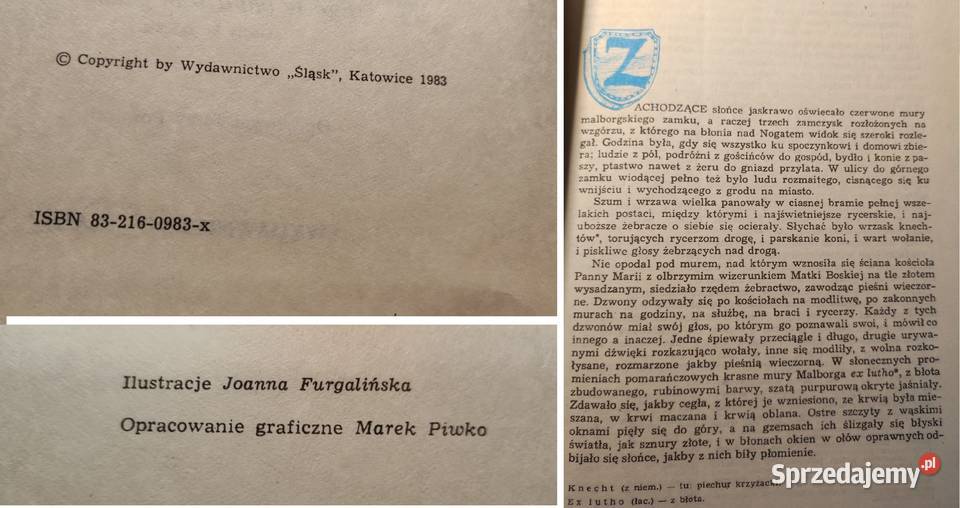 powieść Józef Ignacy Kraszewski Krzyżacy 1410 Kultura i Rozrywka Kielce
