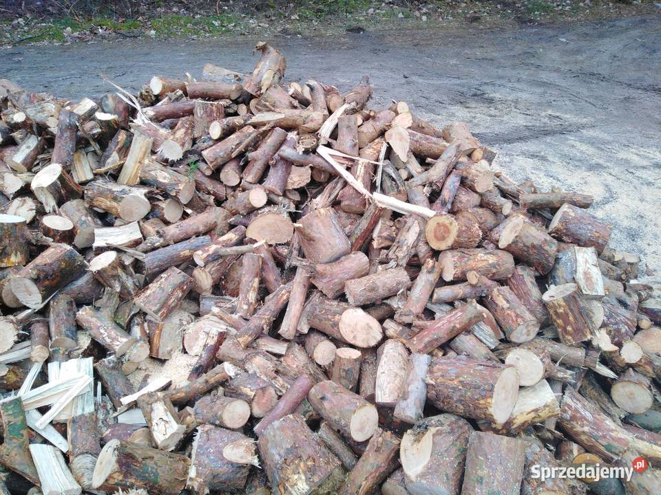 Drewno sosna Włocławek