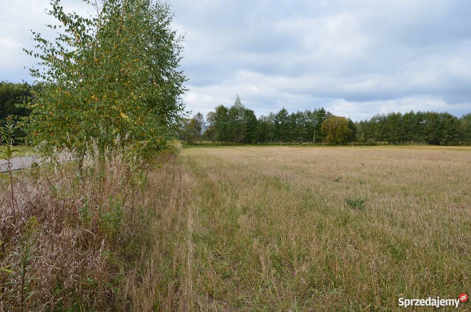 Piękna działka jez Białe