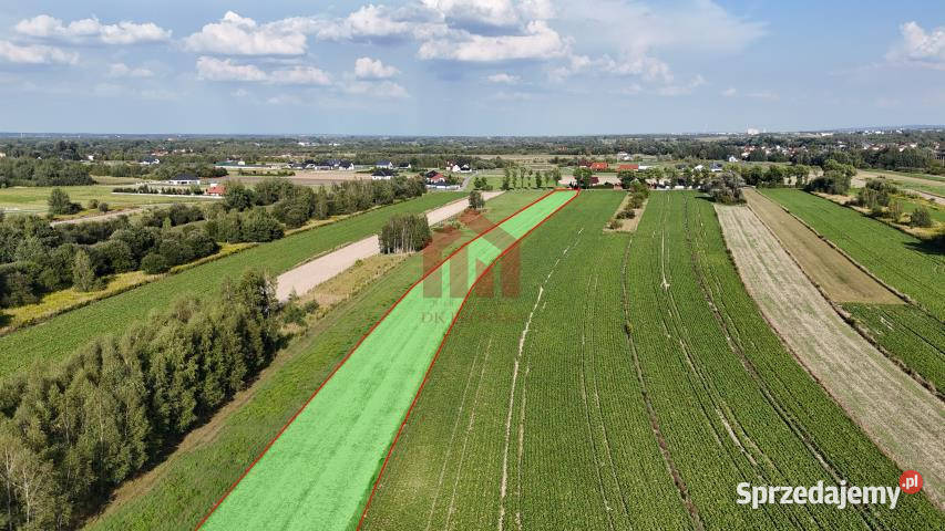 Grunt 7300m2 Świlcza Sprzedaż