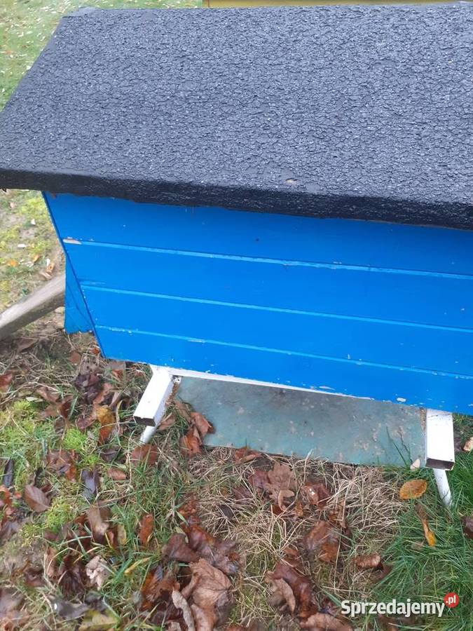 Sprzedam pszczoly z ulami bez uli w 2026r