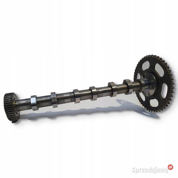 WAŁEK ROZRZĄDU Audi A6 C7 30 TDI V6 lewy ssący osobowe Rozrząd Chełm