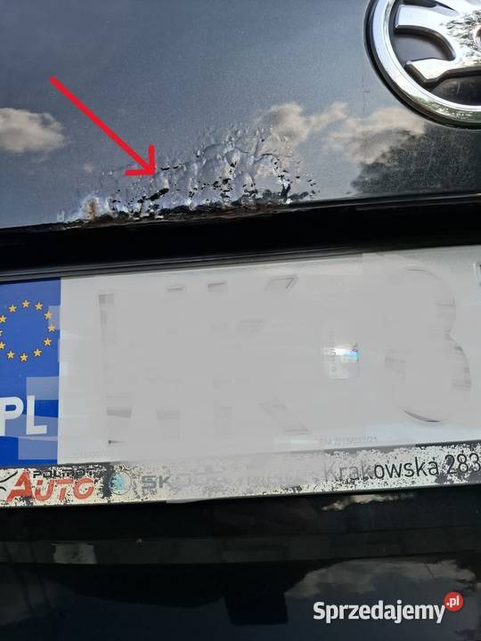 Skoda Octavia 14 TSI Ambition świętokrzyskie Kielce