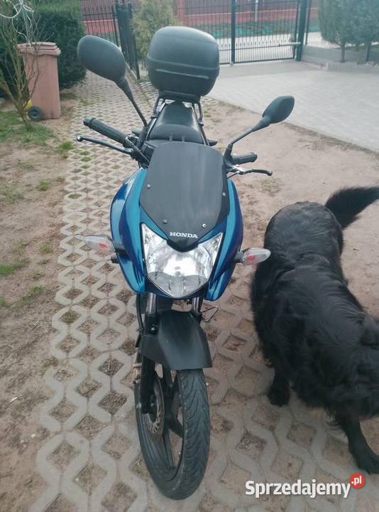 Honda Cbf 125