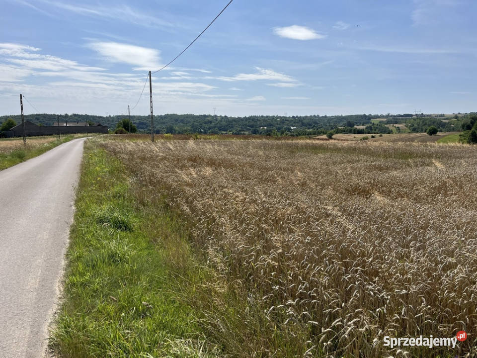 Działka rolna w przepięknej okolicy 12500m2
