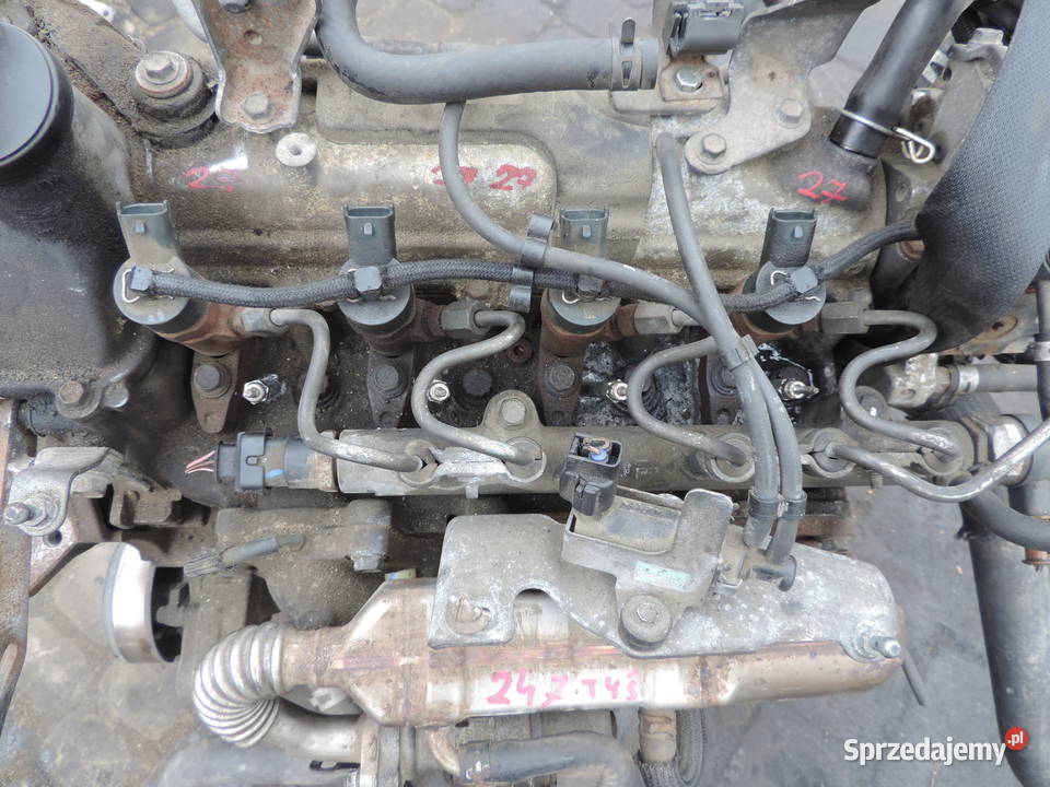 TOYOTA COROLLA E12 14 D4D SILNIK DIESLA 1NDE25C Nowy Sącz