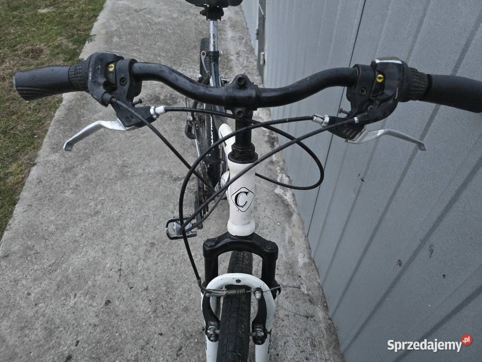 Rower Górski COYOTE Univers Duża Rama 195 Tonowo