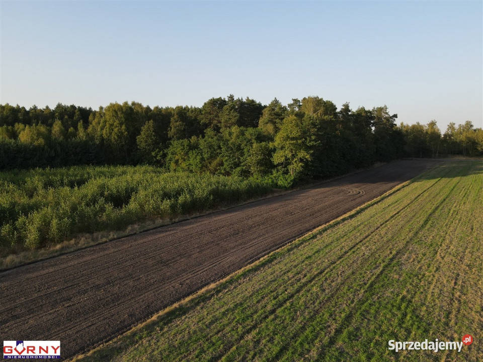 Grunt 29700m2 Mąkolice