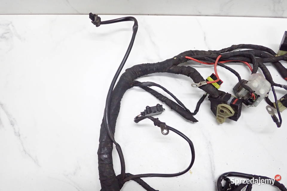 Instalacja Wiązka Elektryczna Czujnik Regulator lubuskie Strzelce Krajeńskie sprzedam