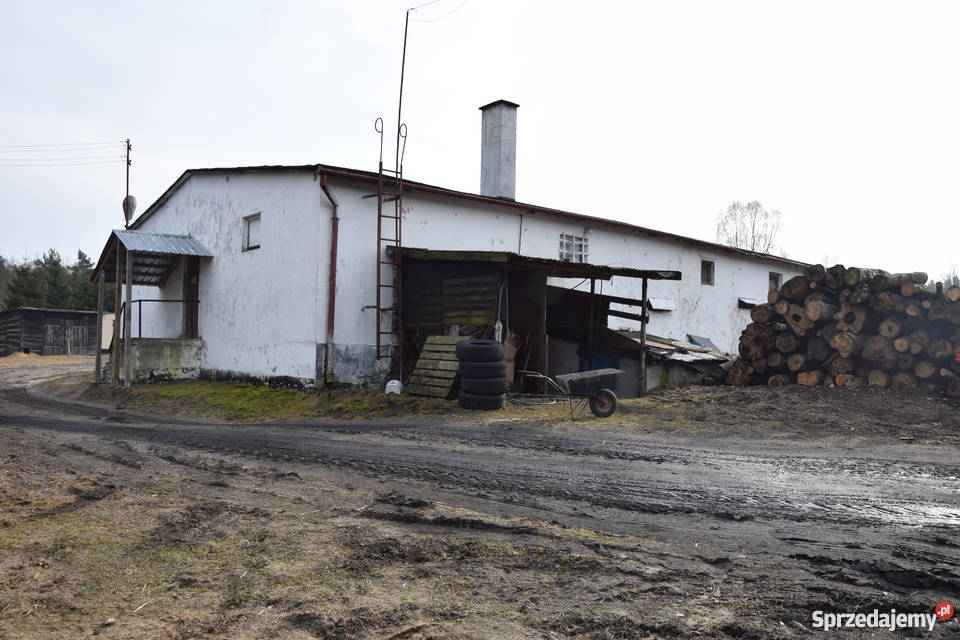 Ferma Drobiu hale produkcyjno przemysłowe Miastko