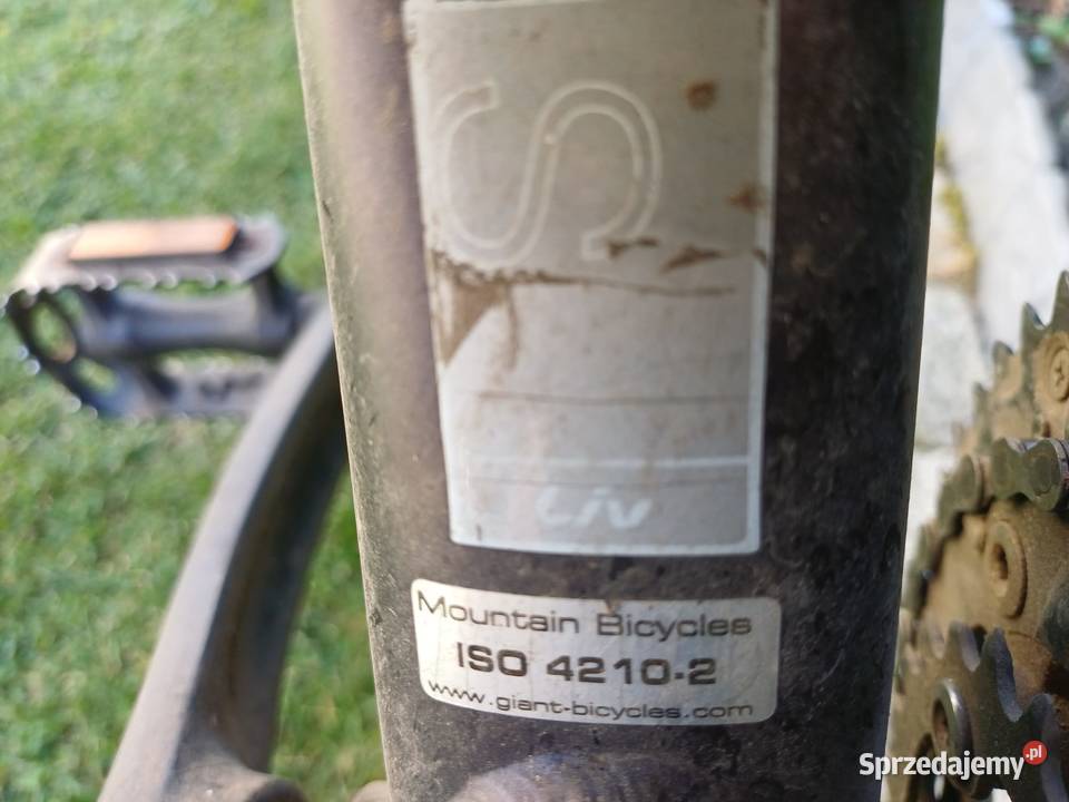 Rower Giant Liv Sośnicowice