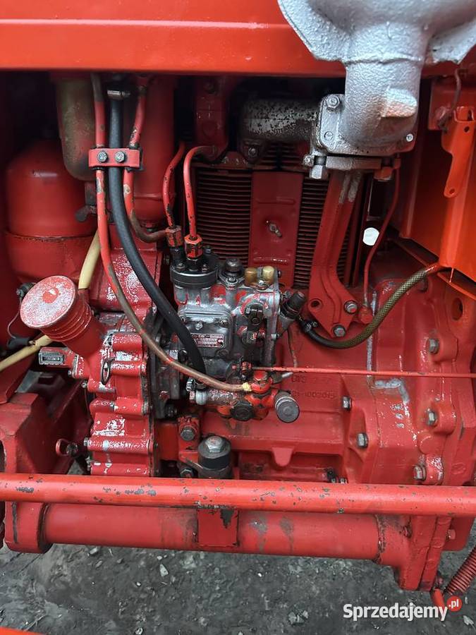 Wladimirec T25A1 lubelskie Krzywda sprzedam