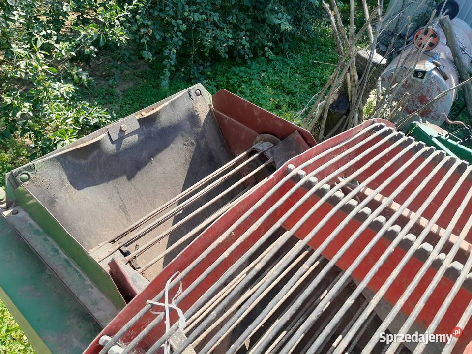 Kombajn do ziemniaków Wuhlmaus Drohojów