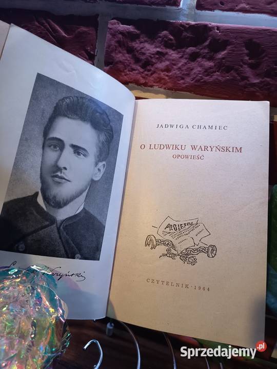 Jadwiga Chamiec O Ludwiku Waryńskim miękka