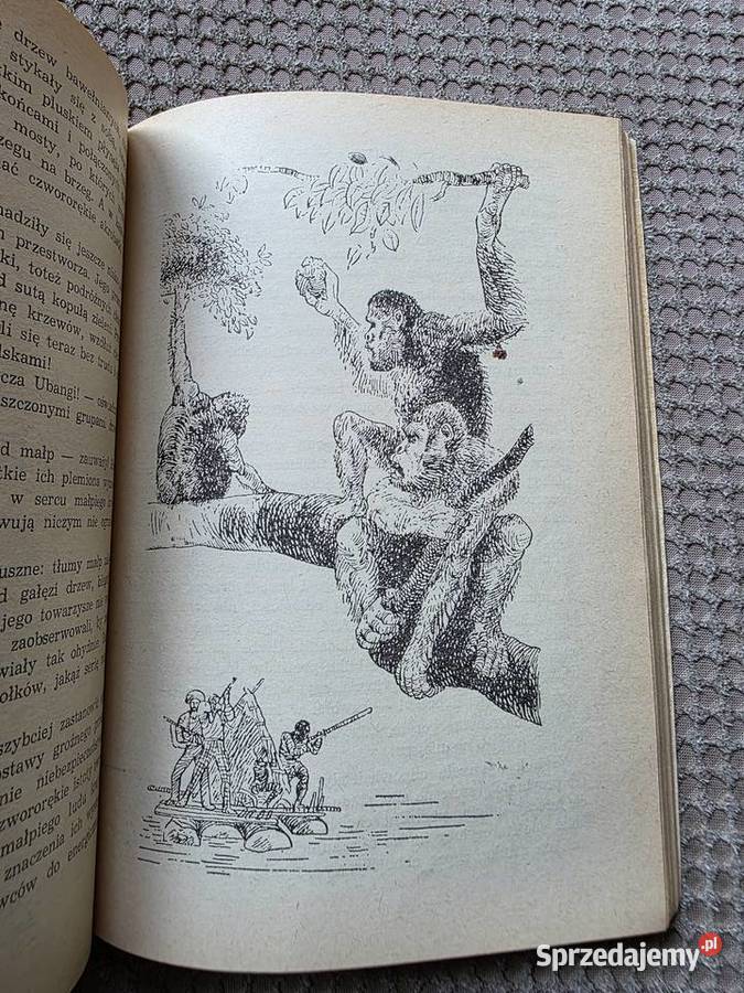 Juliusz Verne Napowietrza wioska Książki dla dzieci Kraków