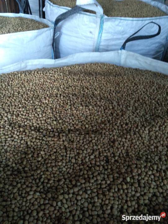 Bobik Granit świętokrzyskie Kępa Lubawska