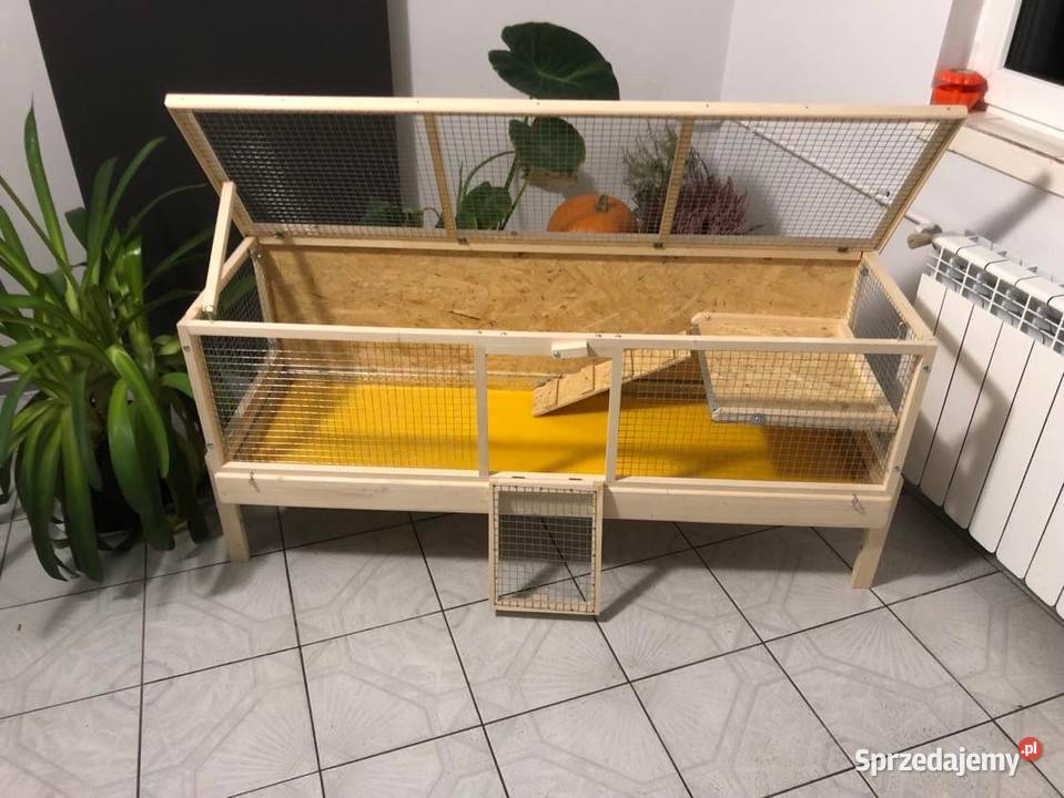 Klatka drewniana zagroda królika świnki morskiej Myszków