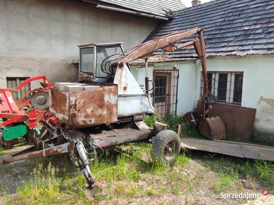 Cyklop nieuszkodzony