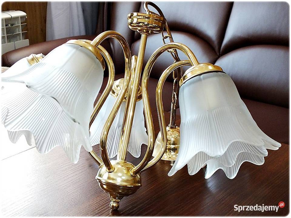 Złoty Żyrandol 5 ramienny Tulipany Lampa wisząca