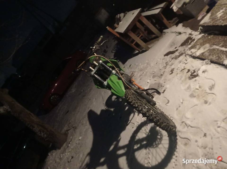 Diabolini nieuszkodzony Diabolini podkarpackie Kopytowa