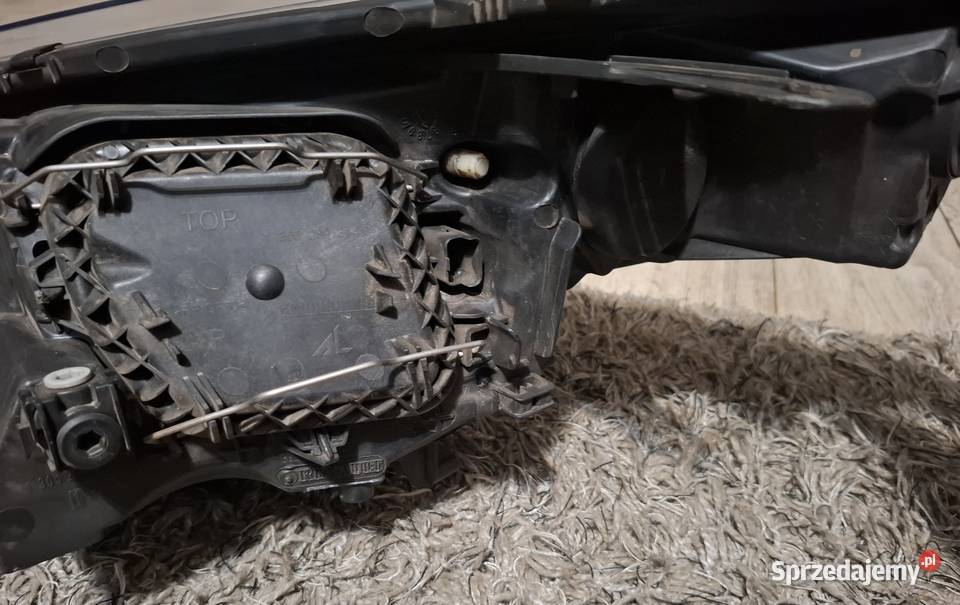 Reflektor lampa przód przednia prawa Renault Żuromin