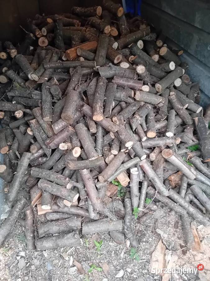 WIŚNIA sliwa itpDrewno do wędzenia kominka do lubelskie Lublin sprzedam