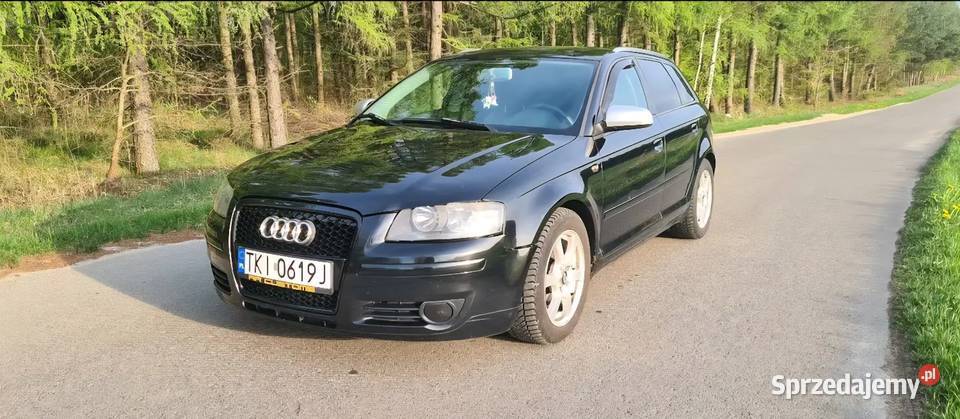 Audi a3 8p Stary Solec