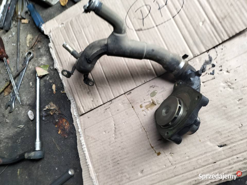 ford fiesta MK3 courier 18 diesel POMPA WODY WĄŻ osobowe Pozostałe Kamień-Kolonia