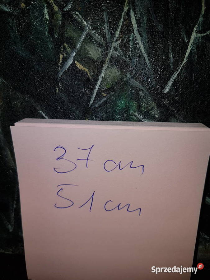 Obraz malowany na płótnie wym37x51 podkarpackie Mielec sprzedam