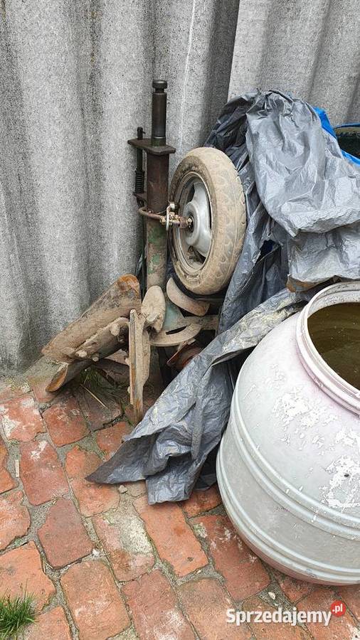 Sprzedam Dzika 21 Ursus 21 wielkopolskie Magnuszewice