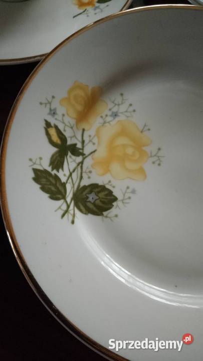 Serwis kawowodeserowy Włocławek