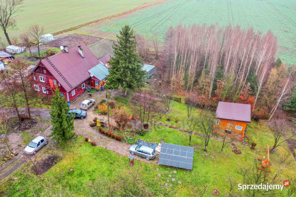 Grunt 6028m2 Sztutowo 6028m2 Sprzedaż pomorskie