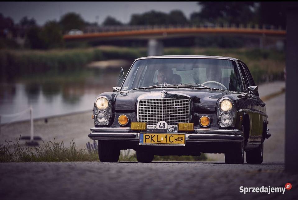 Mercedes W108 45V8 klima Zołte tablice Sedan / Limuzyna wielkopolskie Koło