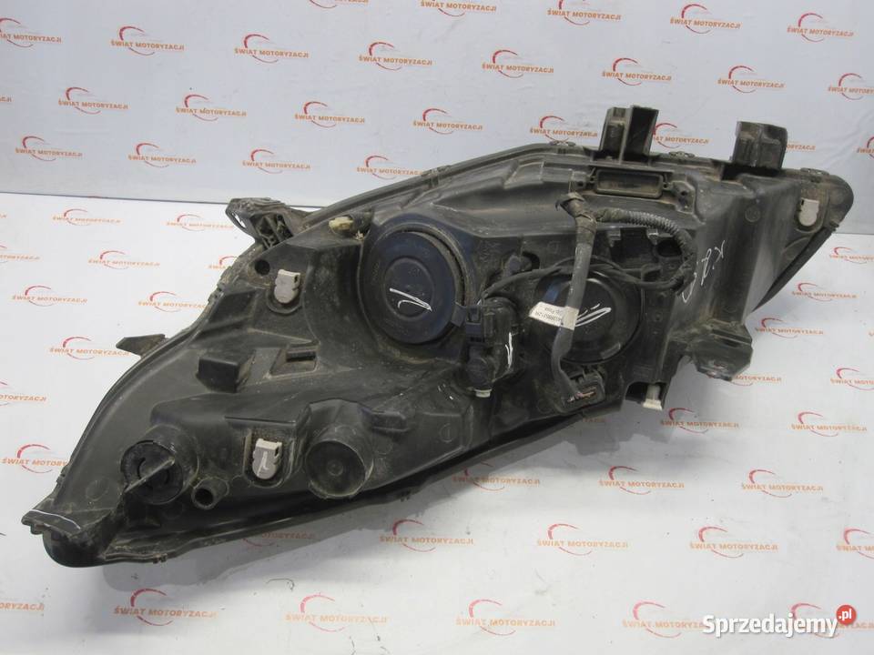 RENAULT SCENIC III 10r lampa prawa przód ANGLIK Kielce