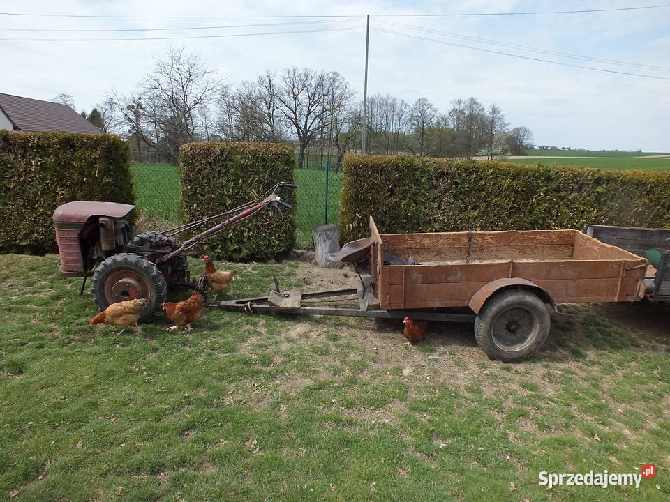 Dzik 221 Zarejestrowana Osprzęt nie Ursus C 308 sprzedam