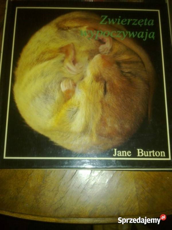 JANE BURTON Komplet 4 Książek Ideał Warszawa