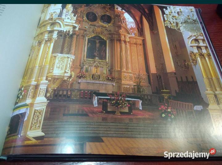 Rzeszów współczesny pejzaż miasta twarda Koszalin