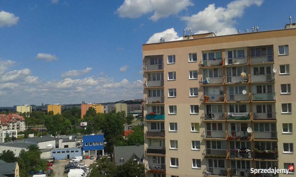 Bezpośrednio w centrum Kielc Romualda słoneczne świętokrzyskie Kielce