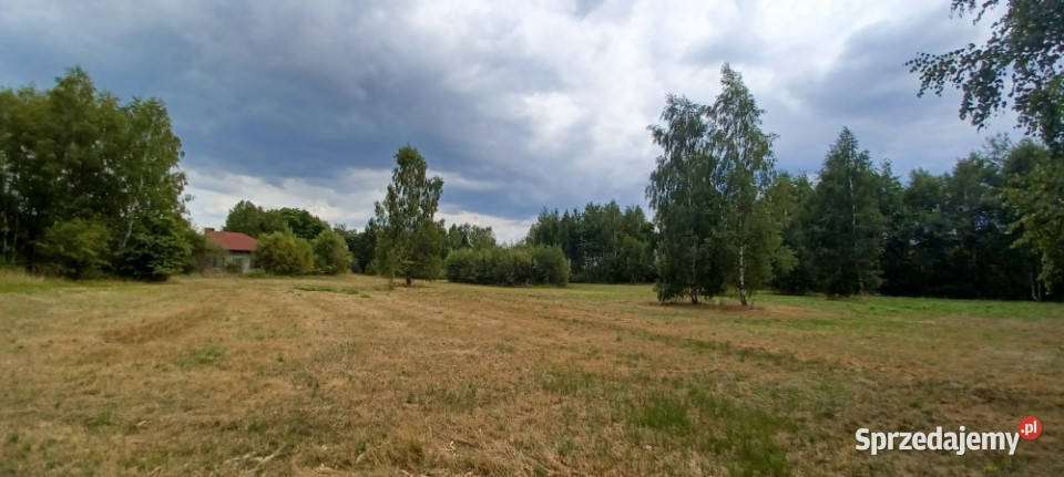 WarszawaRaszynTarczyn Posiadłość 2 ha z 2 piętra mazowieckie Tarczyn
