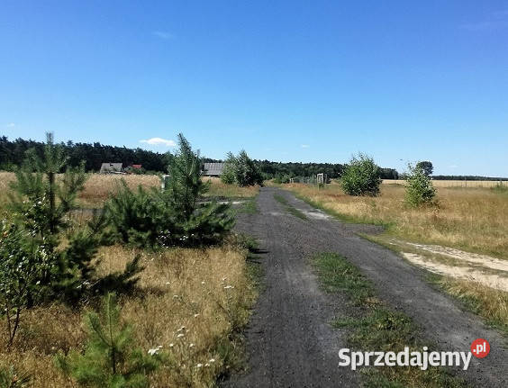 Ostatnia działka jeziorem w Wielkopolsce Mościszki sprzedam